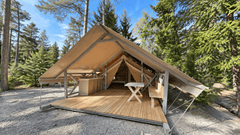 Safari Tents
