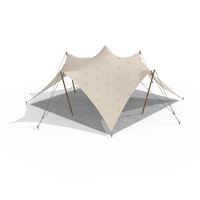 Small 3D render of a stretch tent showing canopy shape, poles, and rigging