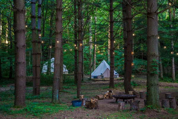 white bell tents nestled among tall trees