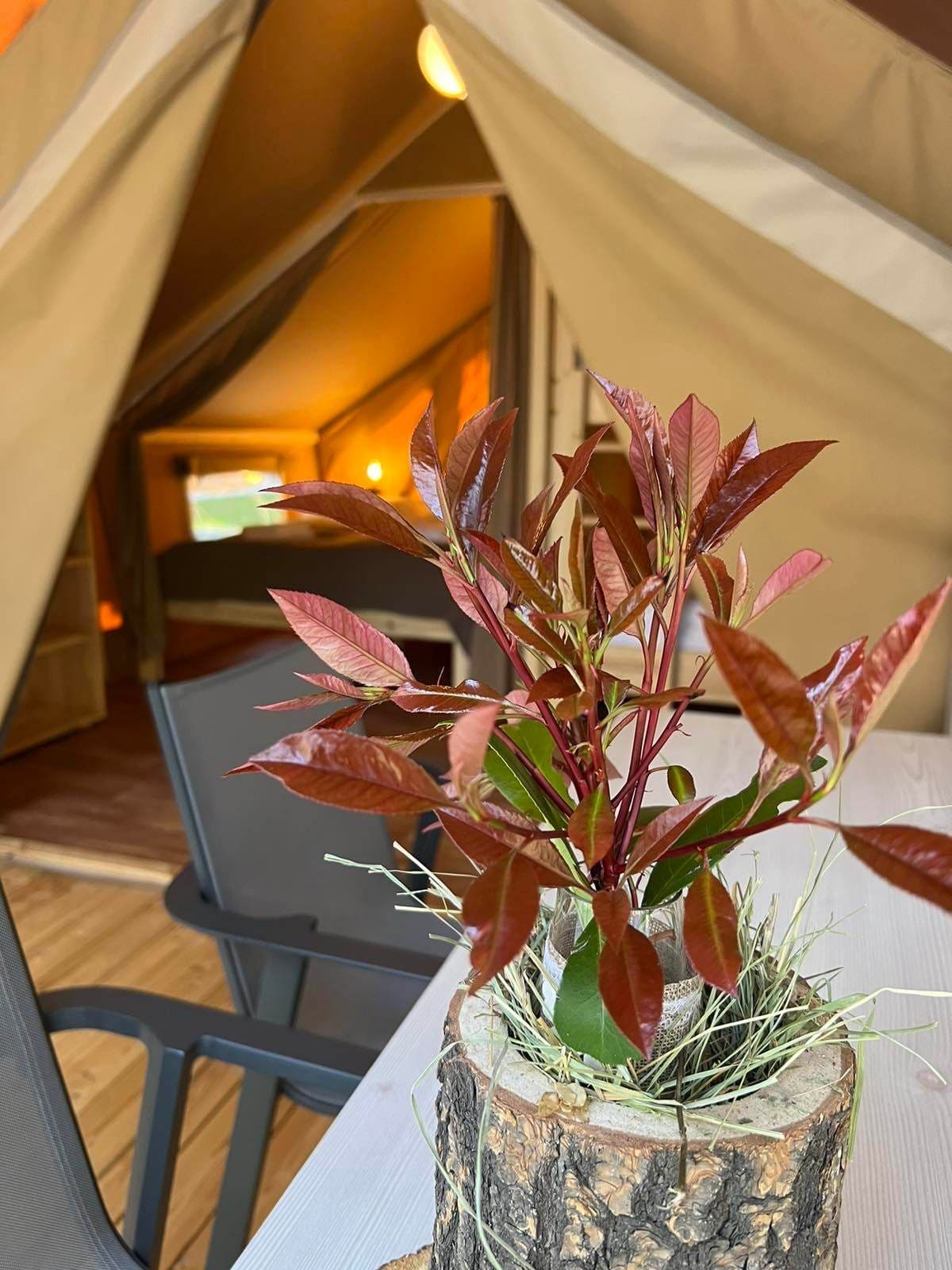 Safari Tent Luxe - [Bell Tents]