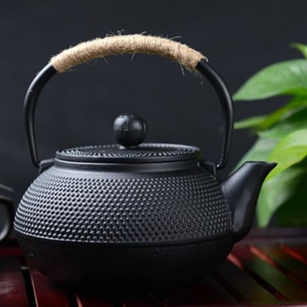 SPRING CAST IRON TEA POT 600ML